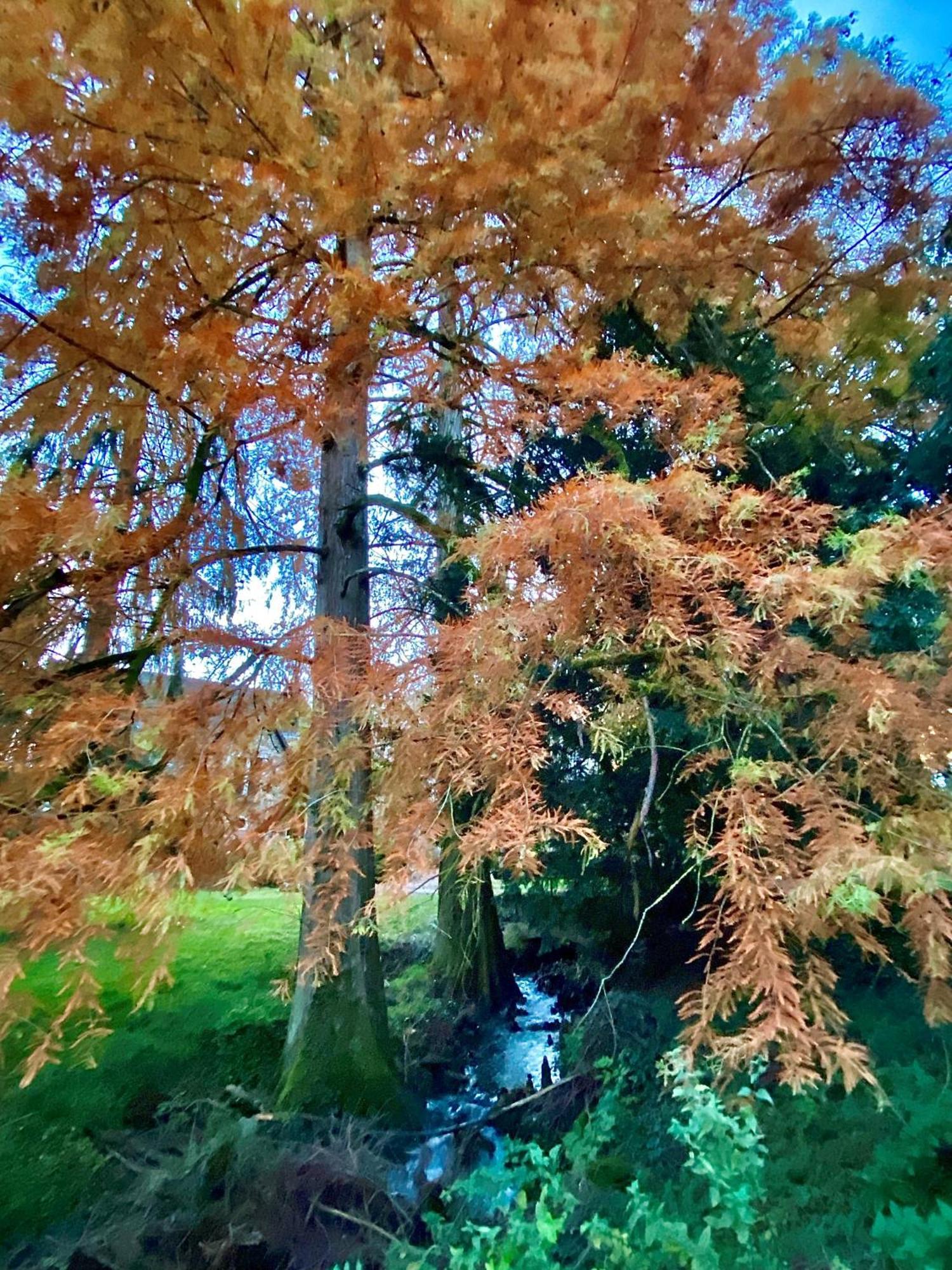 Le Domaine De Moroges Panzió Kültér fotó